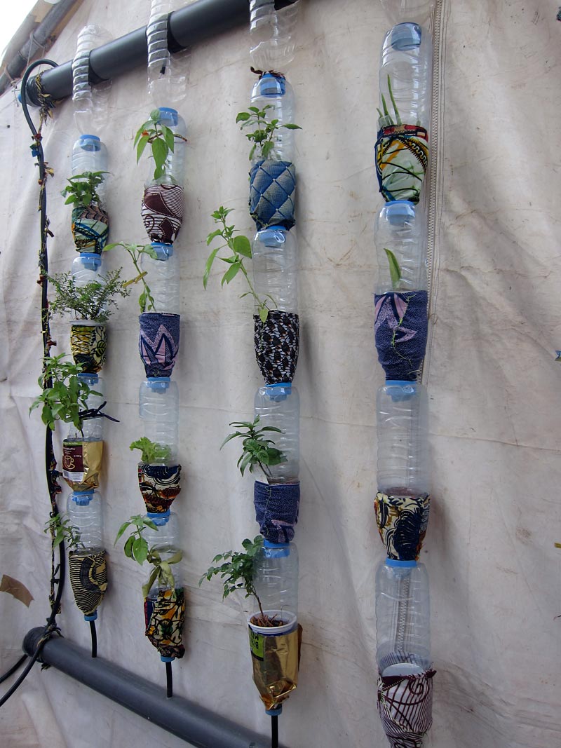wsf2011-dakar-kyd-vertical-garden